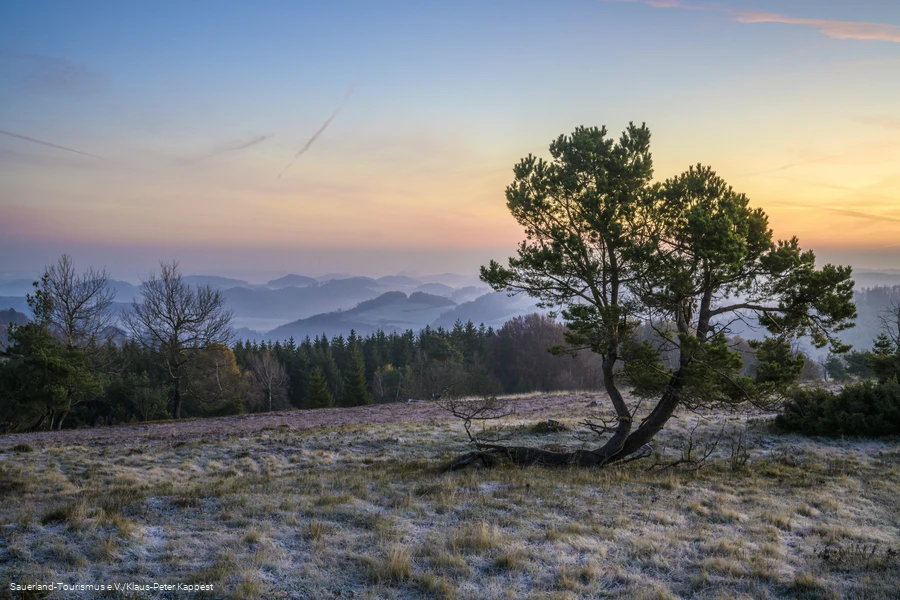 Osterkopf in Willingen im Winterlicht