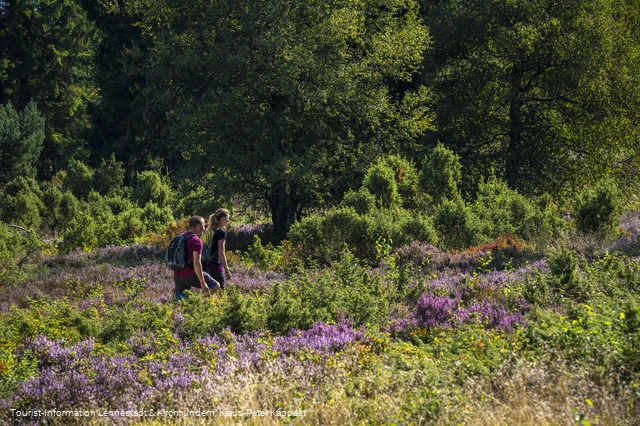 Wandern in der Heinsberger Heide