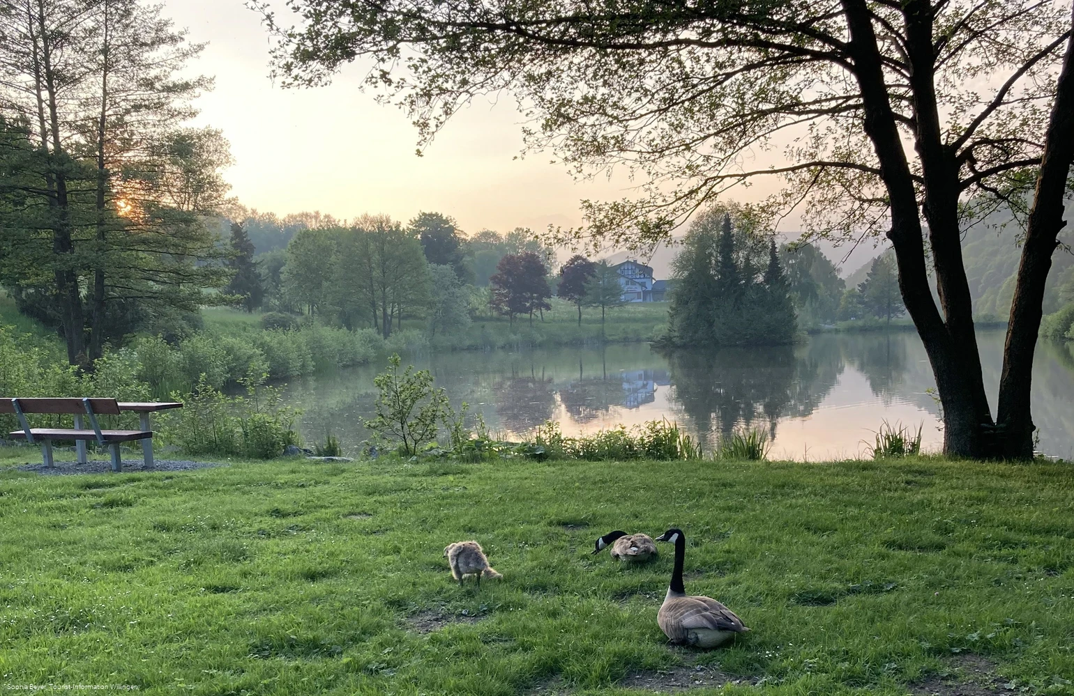 Stryckteich im Abendlicht
