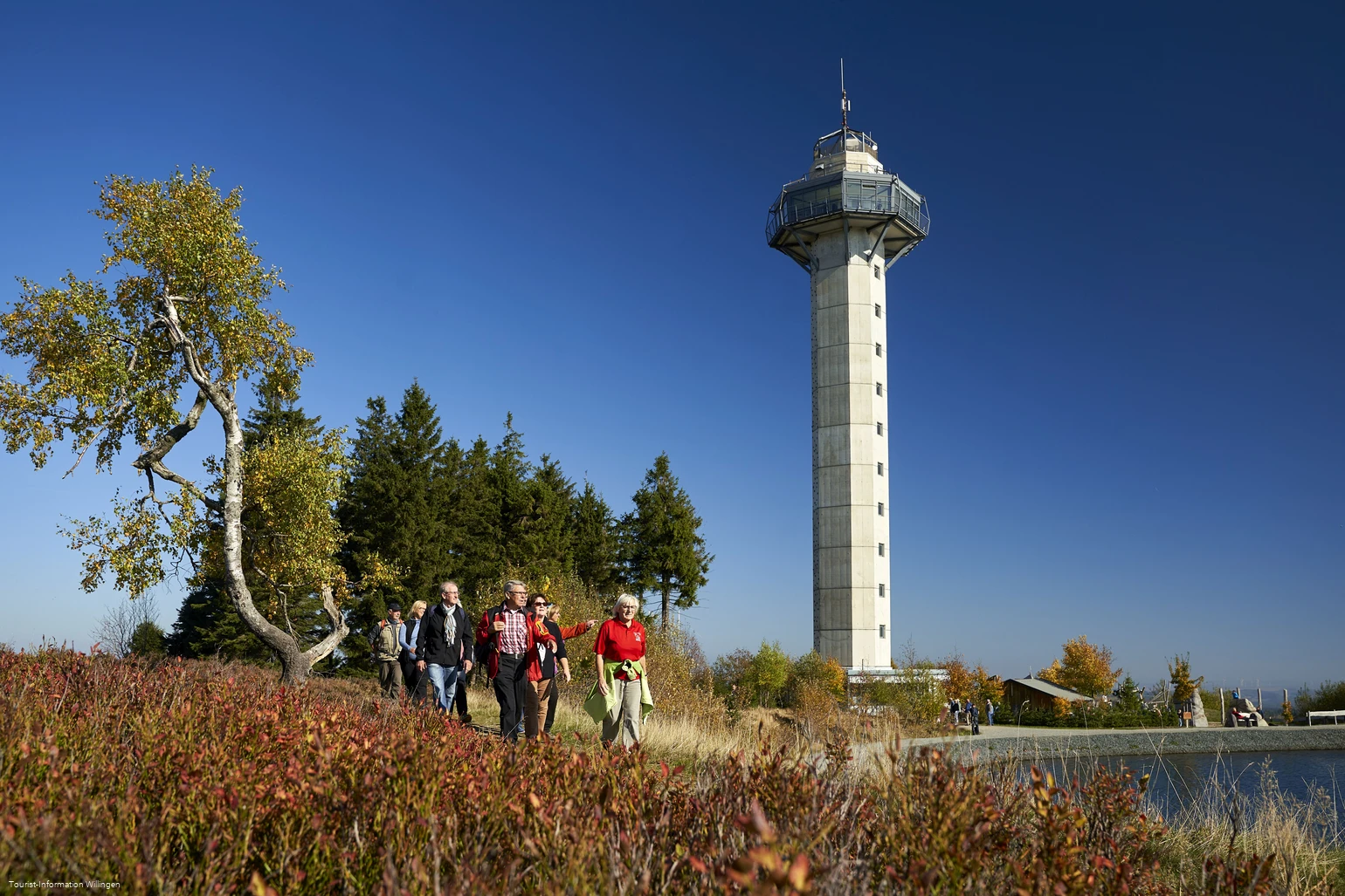 Wandergruppe vor dem Hochheideturm in Willingen