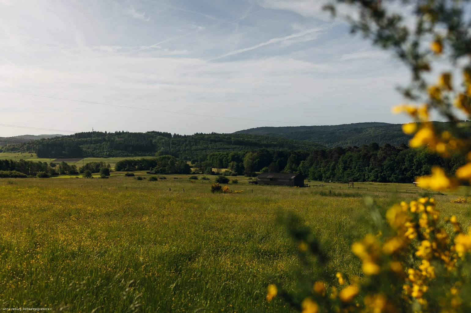 Aussicht vom Rothaarsteig bei Manderbach