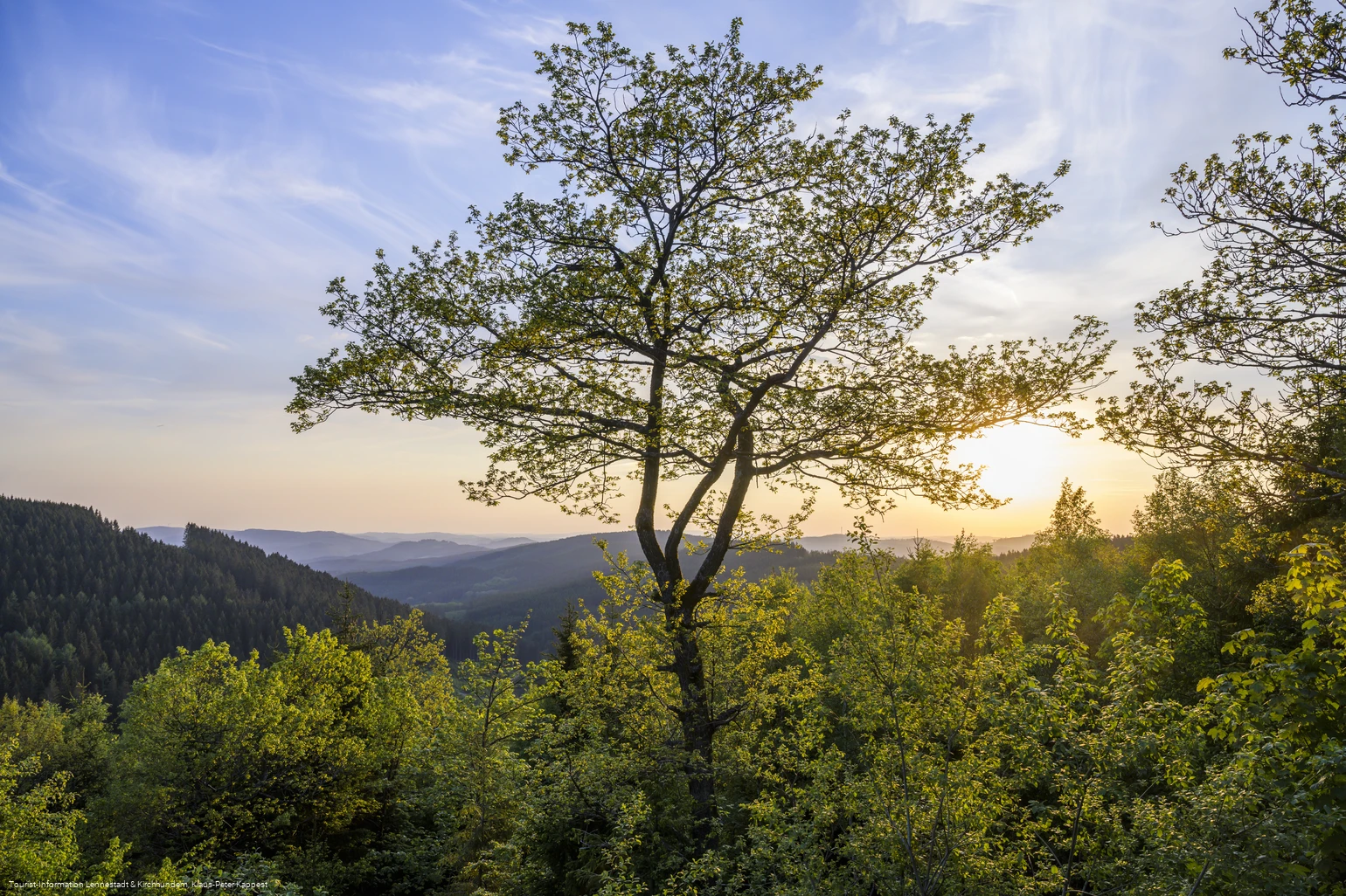 Blick vom Alpenhaus