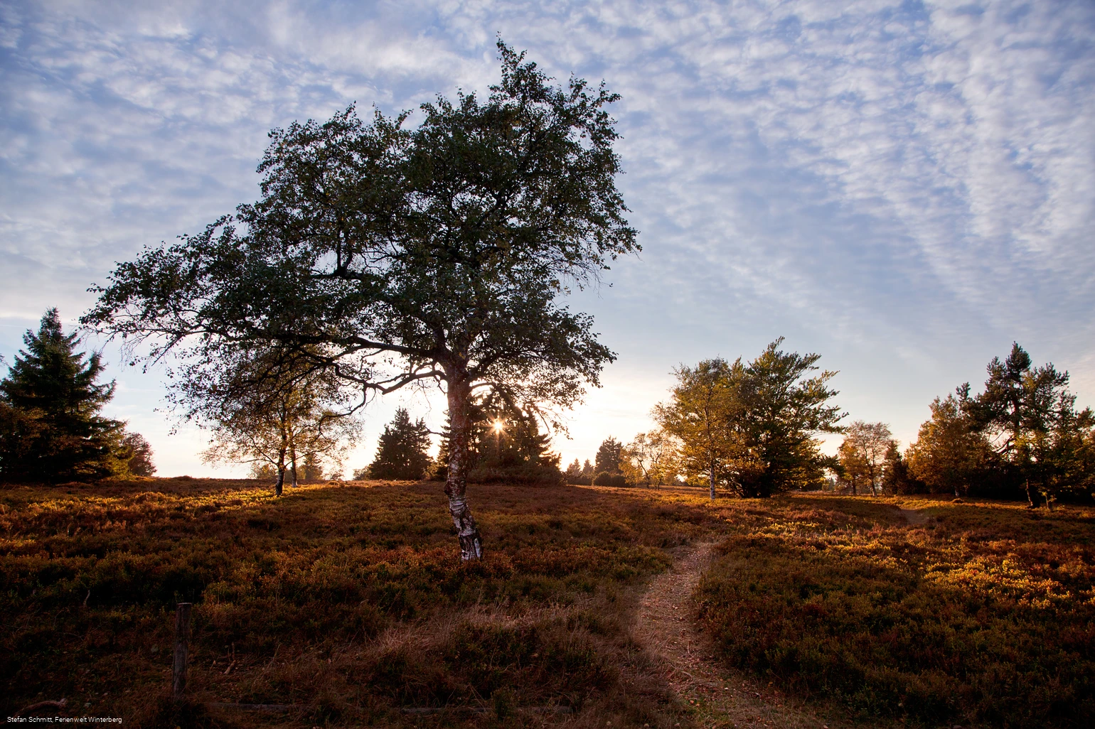 Landschaftstherapieweg auf der Niedersfelder Hochheide
