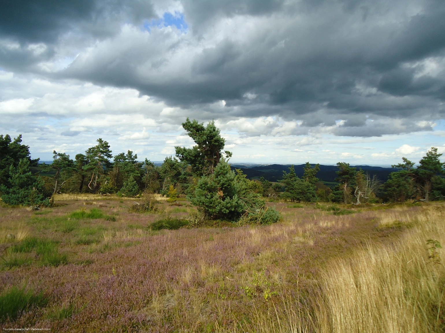 Hochheidelandschaft