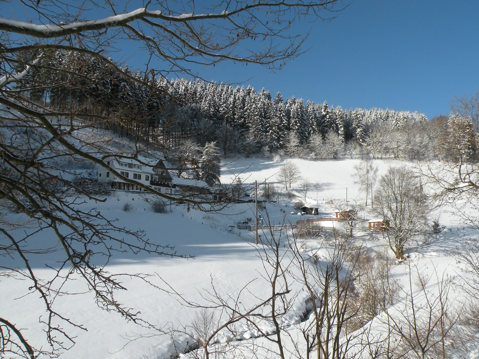 Nesselbach