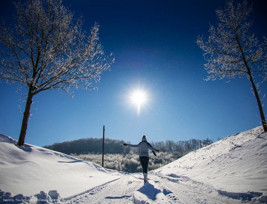 Winterwandern in Brilon