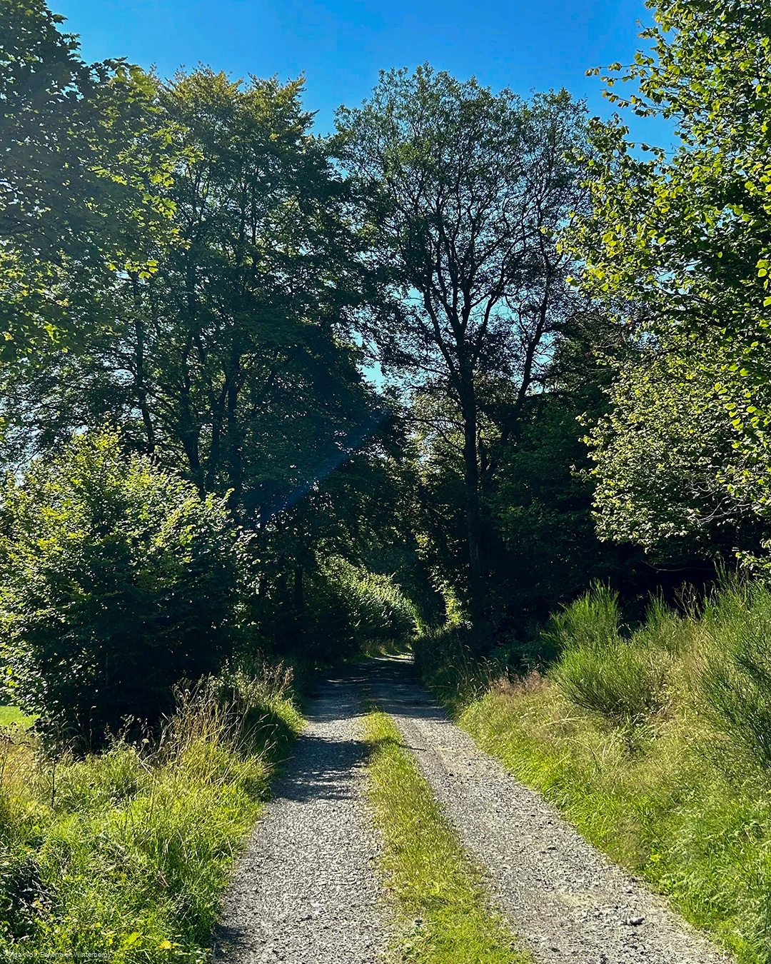 Liesetalweg (L3) Liesen