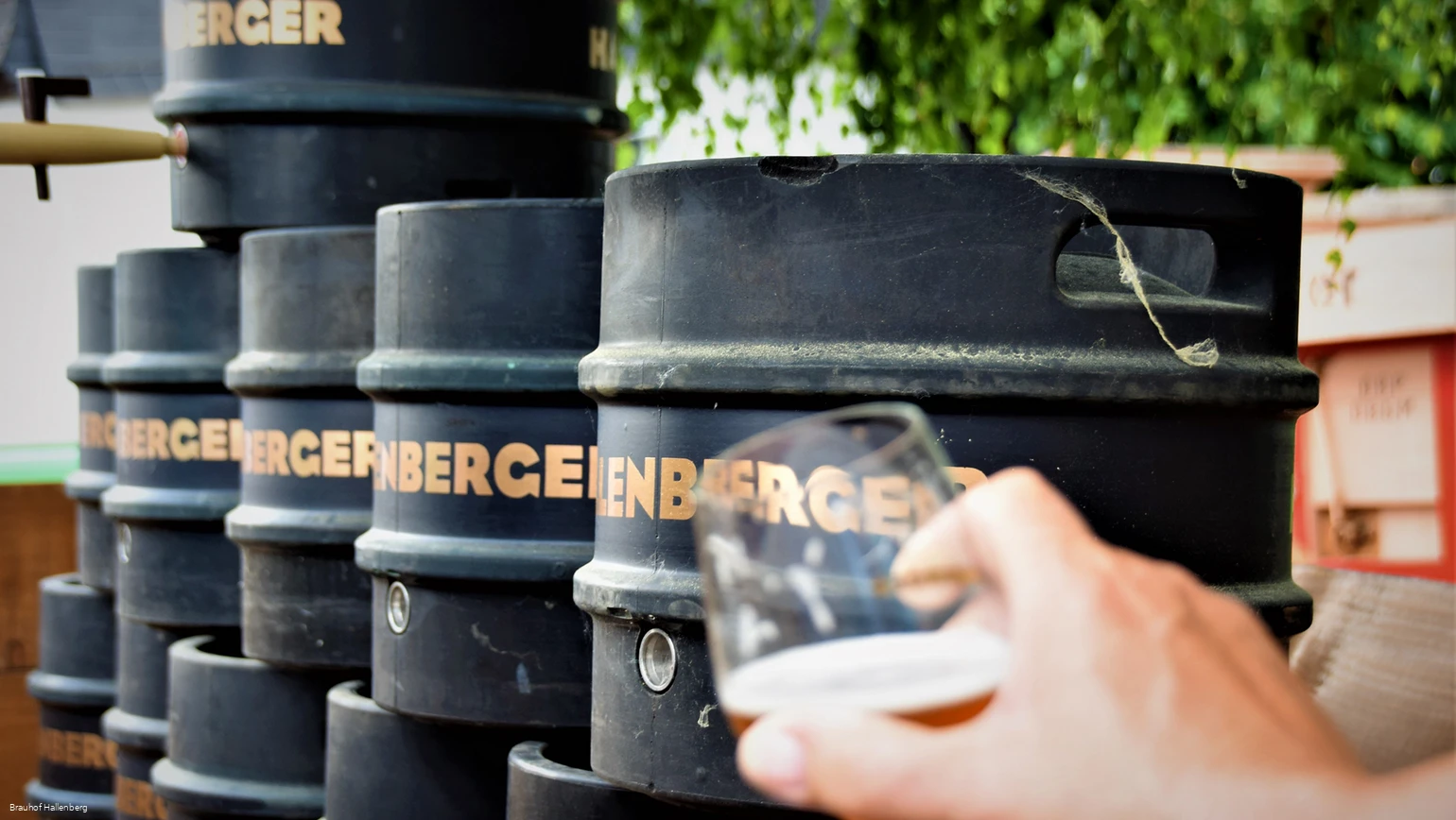 Einige Bierfässer mit der Aufschrift Hallenberger.
