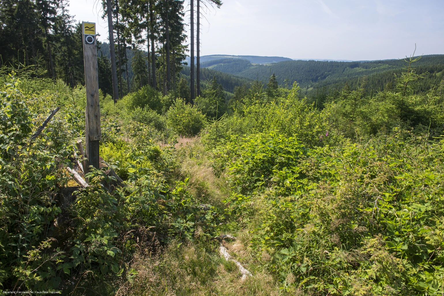 Aufstieg vom Krenkeltal zum Rothaarsteig