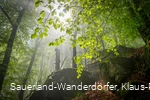 Sauerland-Wanderdörfer Hollenhaus mit Blätterdach im Sonnenlicht